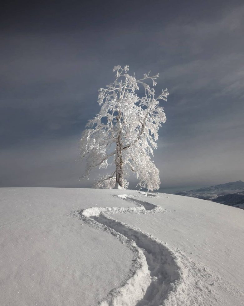 Уникальная природа Швейцарии на снимках Синха Боксбергера