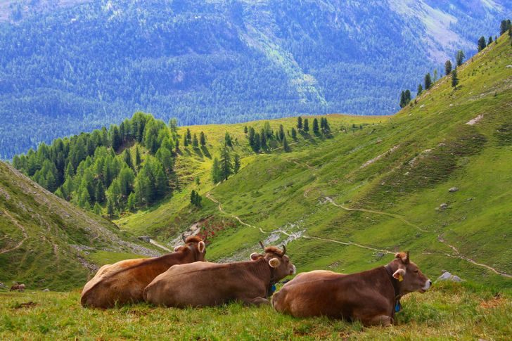 20+ впечатляющих фото из Швейцарии, которые расскажут об этой стране больше, чем любой путеводитель