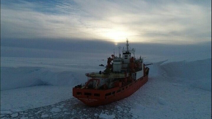 Весёлые (и не очень) истории белоруса из Антарктиды