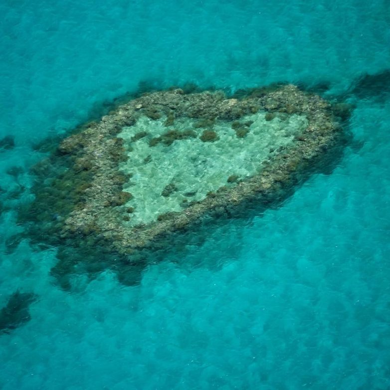 Приют отшельника: лодочный сарай посреди Большого Барьерного рифа