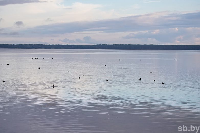 Предосенние виды озера Нарочь