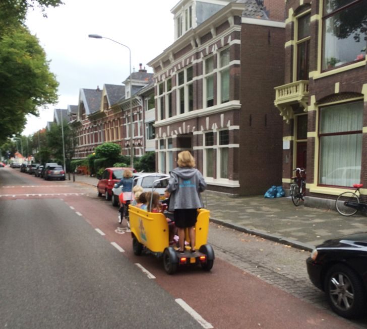 25 фотографий из Нидерландов, которые удивляют и обескураживают