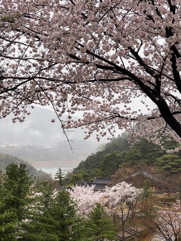 15+ фантастических снимков, после которых хочется воскликнуть: «Южная Корея, ты просто космос!»