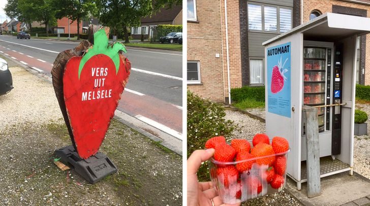 19 впечатляющих снимков из Бельгии, после которых вы влюбитесь в эту страну по уши