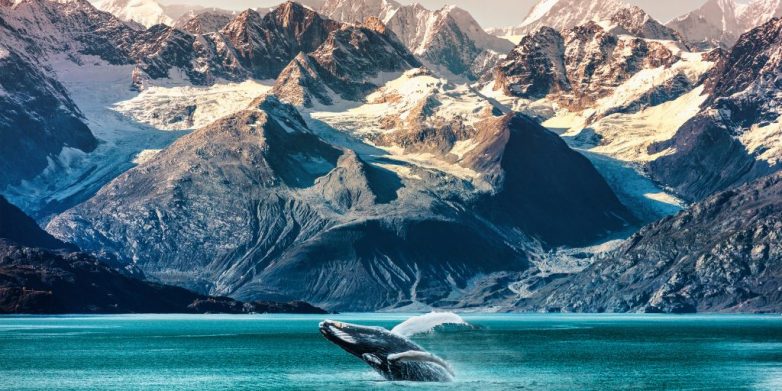 Чем заняться в Арктике: 6 идей для северного туризма