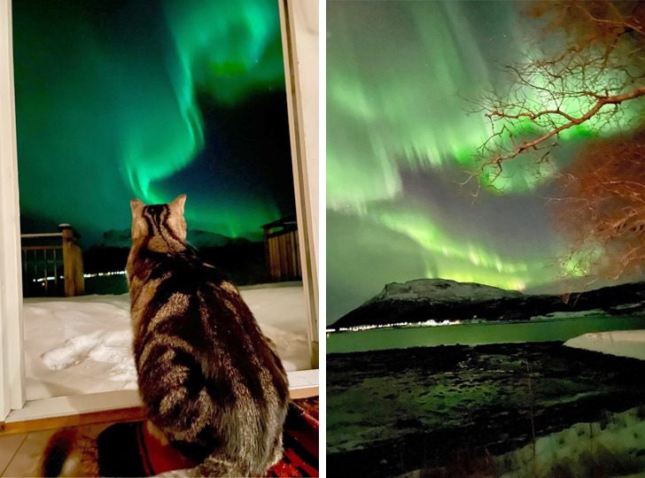 24 фотоштриха из Норвегии, которая просто космос