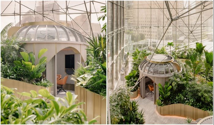 (Не)обычный Сингапур: в «городе львов» бывший офис превратили в ботанический сад