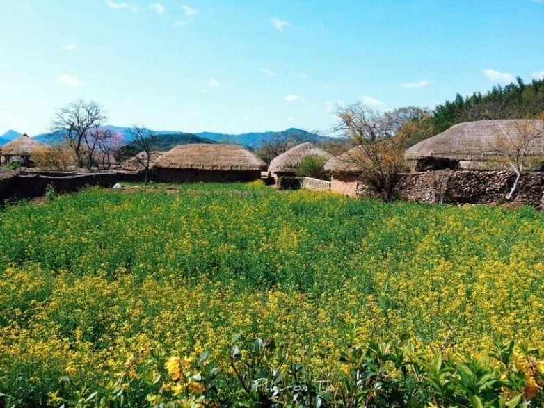 «Законсервированная» корейская деревня, в которой люди живут так же, как 200 лет назад