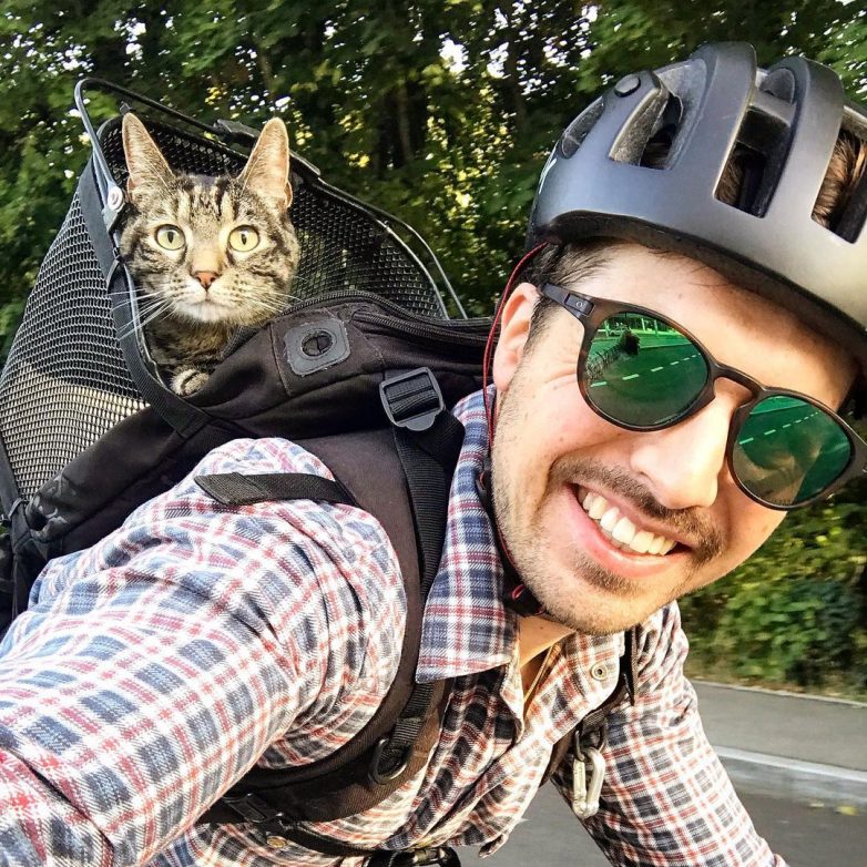 Кошка-путешественница колесит по свету вместе с хозяином