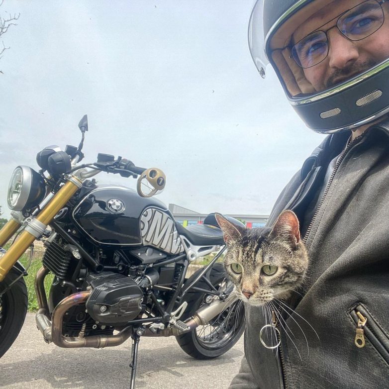 Кошка-путешественница колесит по свету вместе с хозяином