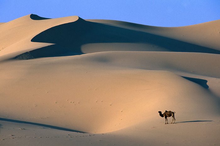 Для чего китайцы проложили рекордно длинную трассу посреди пустыни?