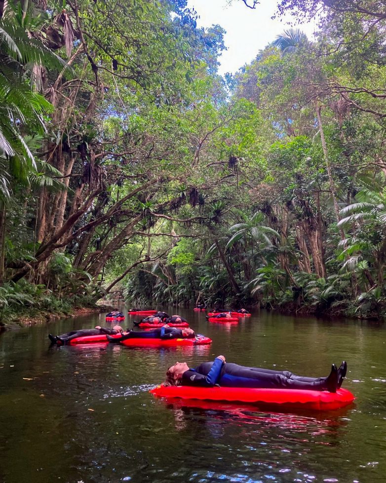 Красивый ручей в тропических лесах Австралии