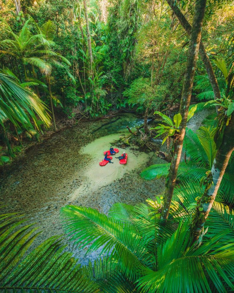 Красивый ручей в тропических лесах Австралии
