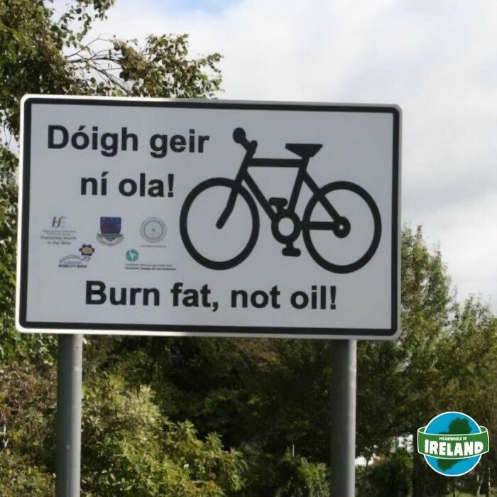 25 мемов из весёлой Ирландии, которые сделают ваш день