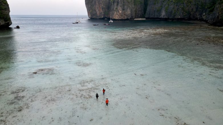 Туристы и акулы пытаются поделить лагуну из фильма «Пляж»