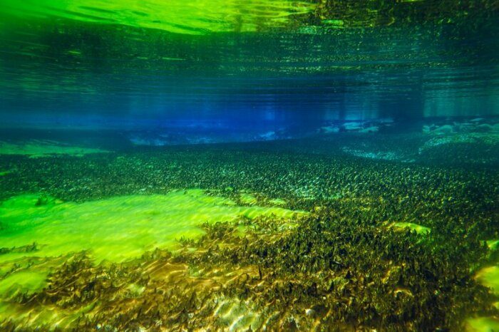 Вопрос на засыпку: почему в самом чистом озере планеты запрещено купаться?