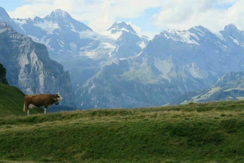 15 чудесных снимков из Швейцарии, которые рассказывают о стране лучше любого путеводителя