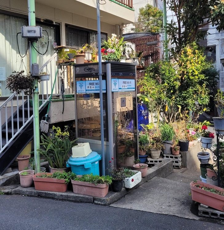 15 милейших фотодоказательств того, что Япония — это отдельная планета