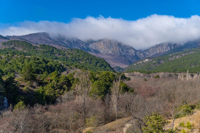 Красота в горах Крыма