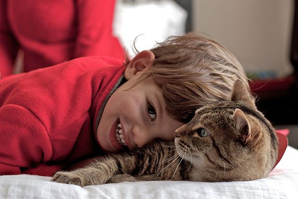 39 доказательств, что вашему ребенку нужен кот