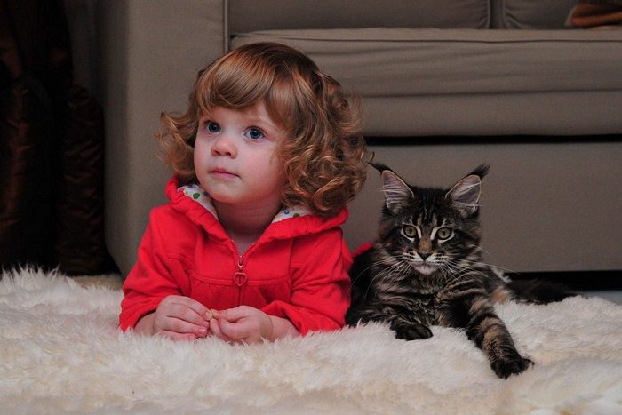 39 доказательств, что вашему ребенку нужен кот
