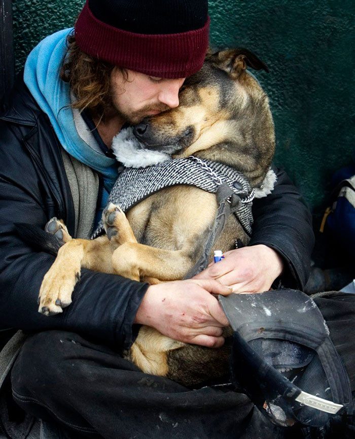 44 фотографии, доказывающие что собаки любят нас бескорыстно