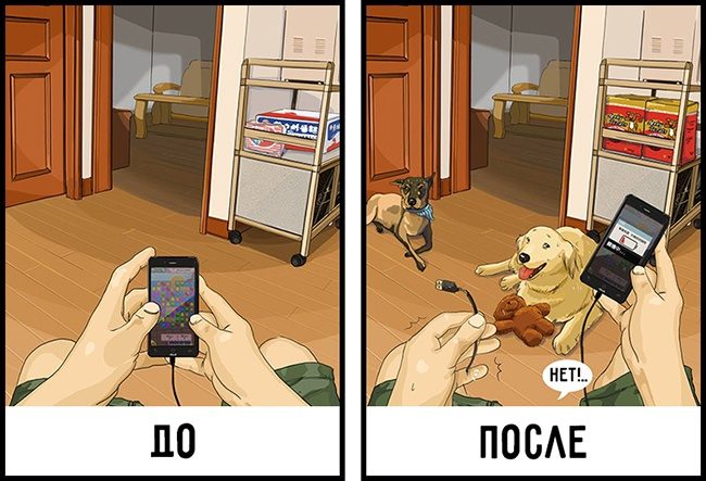 Жизнь до и после появления собаки в доме