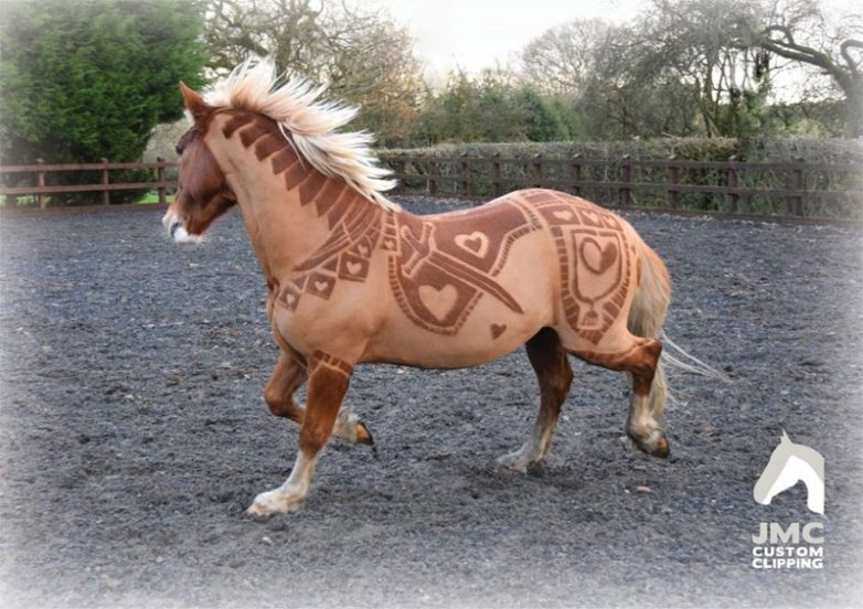 Великолепные лошади в орнаментах