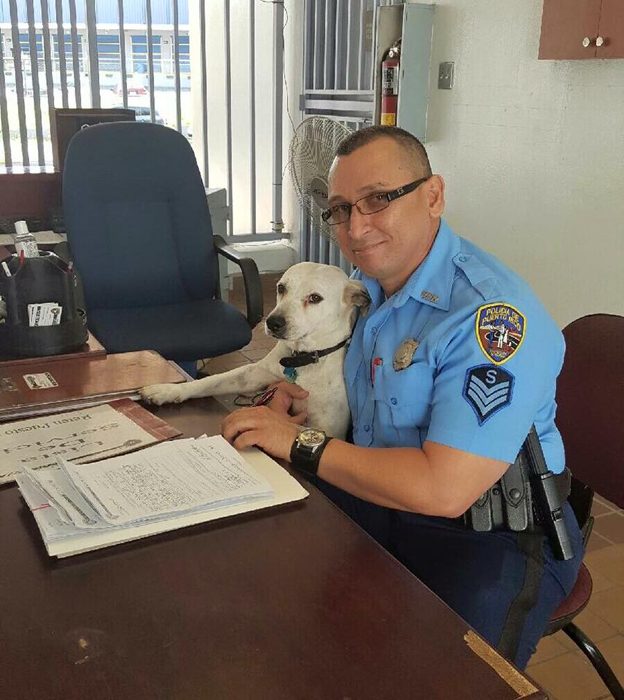 Бездомный пес нашел работу в полицейском участке