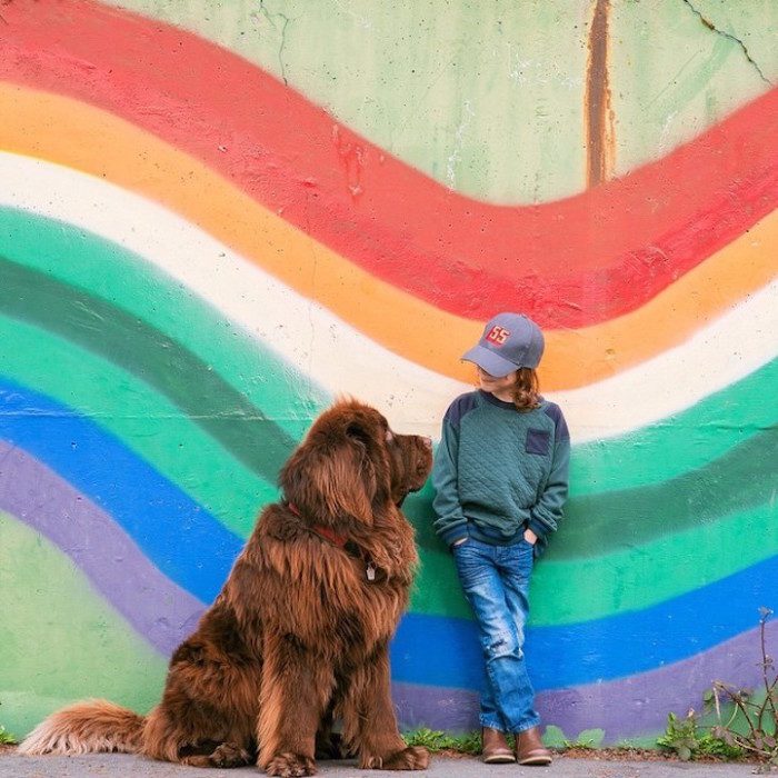 Дружба маленького мальчика и гигантских собак