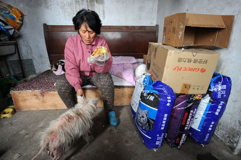 Китаянка спасает собак
