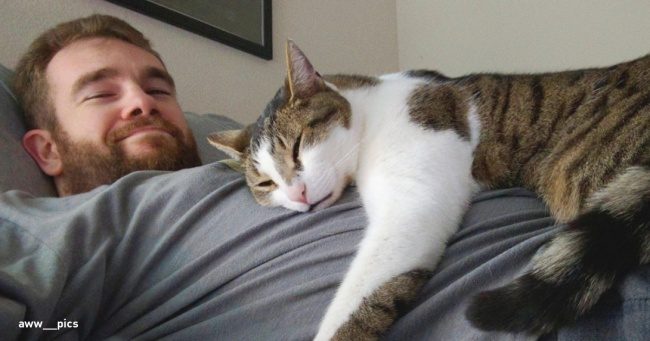 Почему коты обожают спать на людях