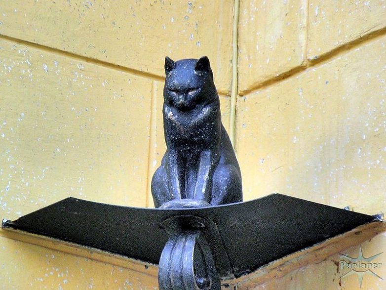 Коты, которые сыграли важную роль во времена блокады Ленинграда
