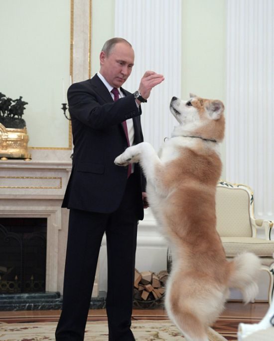 Путин показал подаренную ему собаку Юмэ
