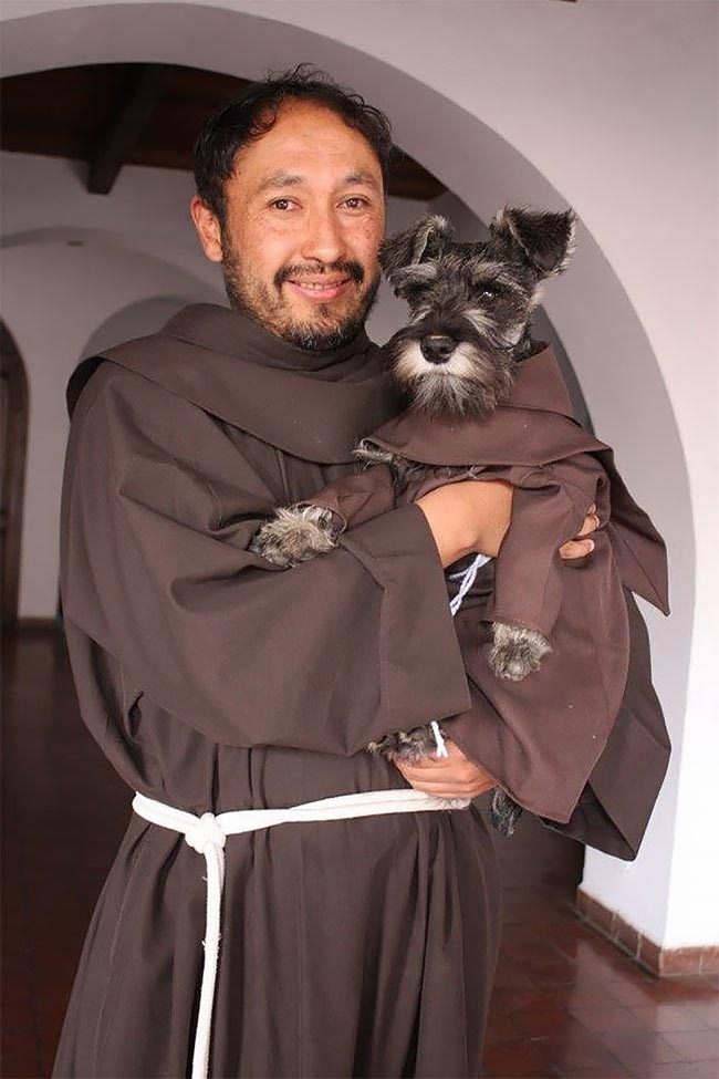 Первая собака-монах