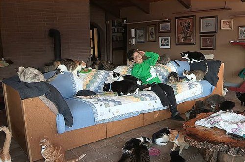 Женщина, которая живёт с огромным количеством кошек