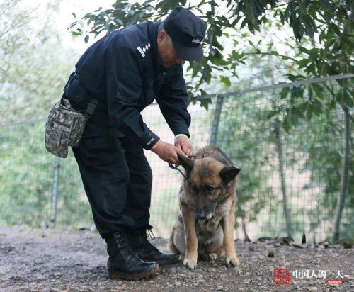 Полицейский из Китая построил дом престарелых для старых полицейских собак