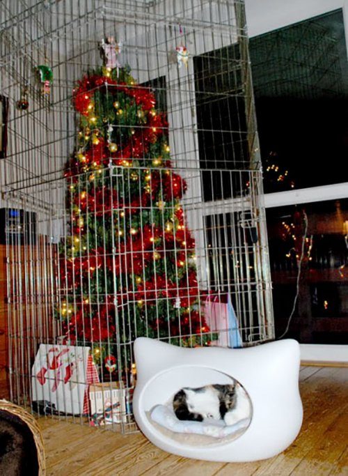 Как спасти новогоднюю ёлку от домашних животных