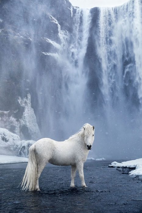 Великолепные лошади на фоне сказочных пейзажей