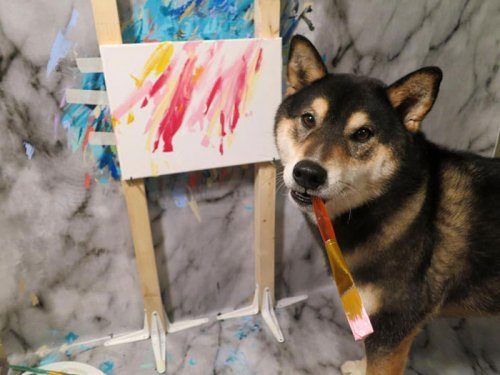 Собака, которая умеет рисовать