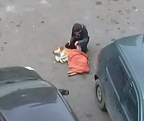 Мальчик снял с себя куртку, чтобы согреть дворового пса