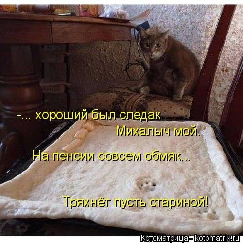 Уморительные котоматрицы для отличного настроения