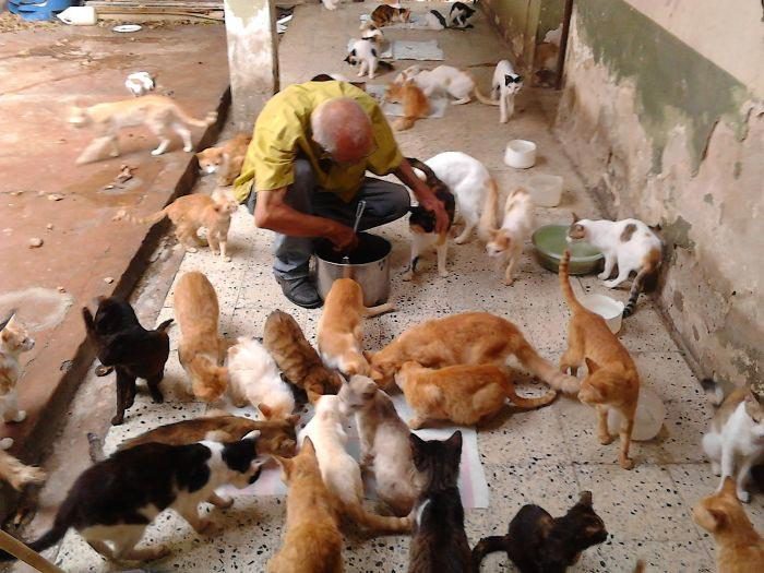 Эта семья не бежит из Венесуэлы, а создаёт приют для брошенных кошек