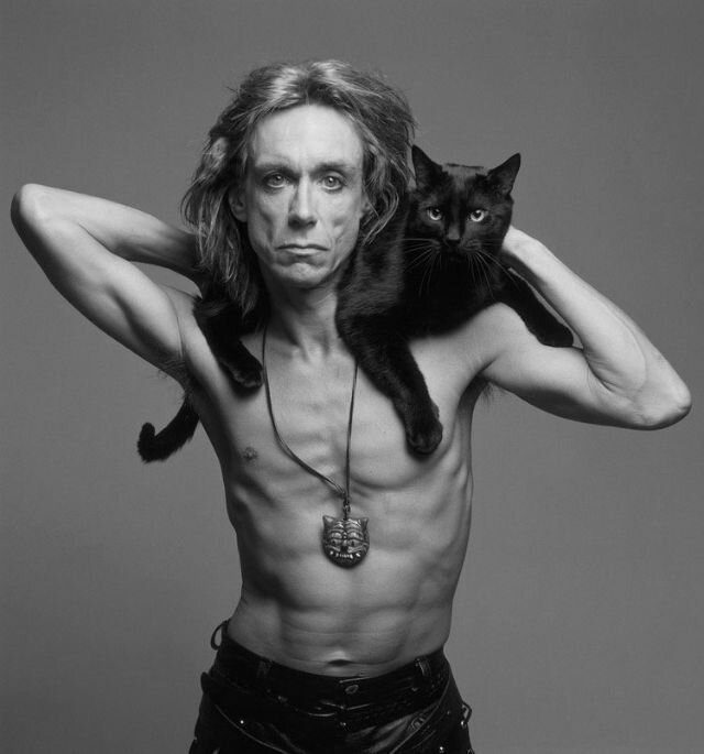 Ретро-фотографии знаменитостей, позирующие с любимыми кошками