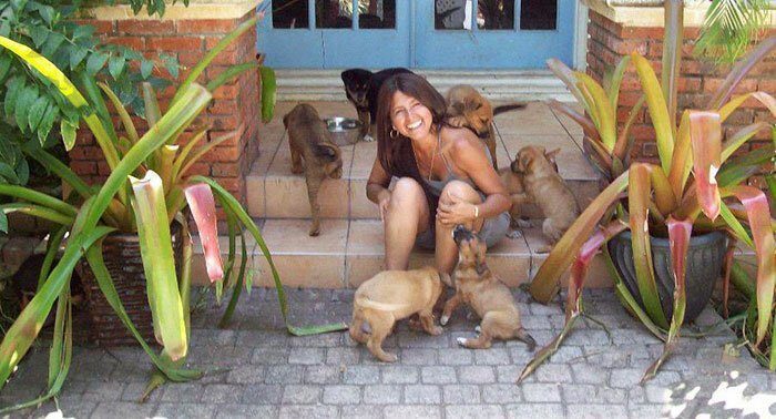 Женщина приютила 97 бездомных собак