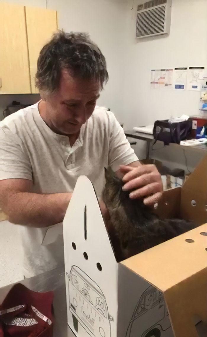 Он нашёл своего 19-летнего кота через 7 лет после того, как тот пропал без вести