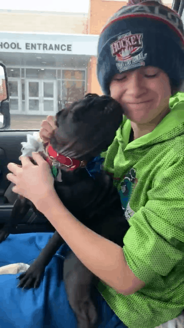 Воссоединение мальчика и потерянной собаки