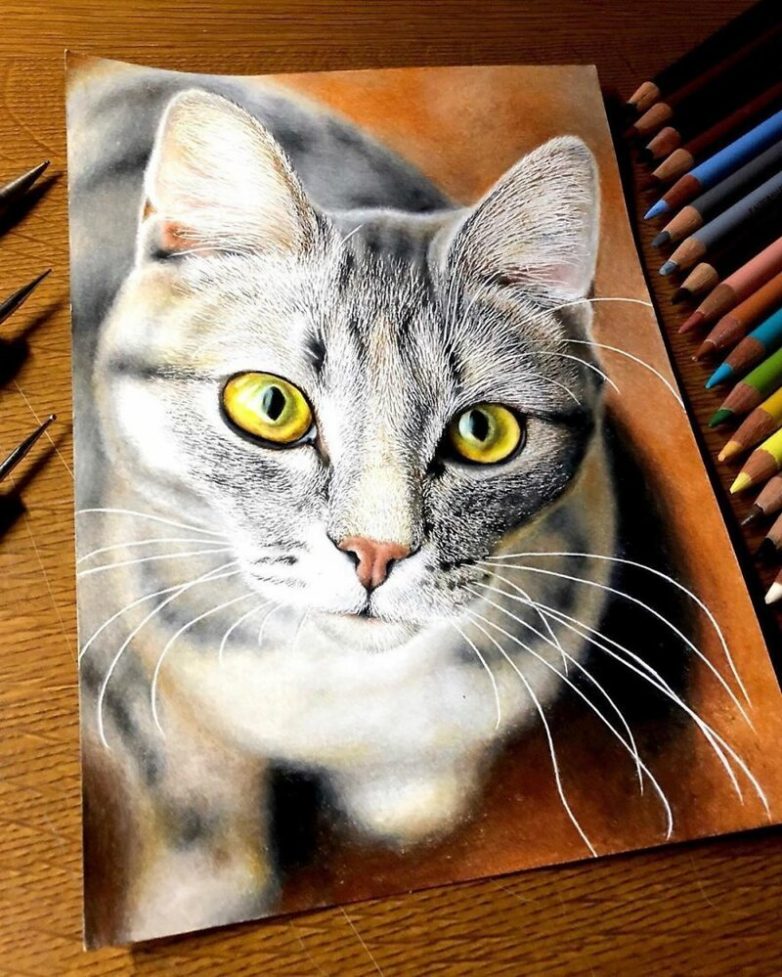 Невероятные портреты кошек