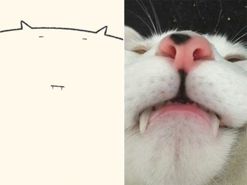 Точные рисунки кошек