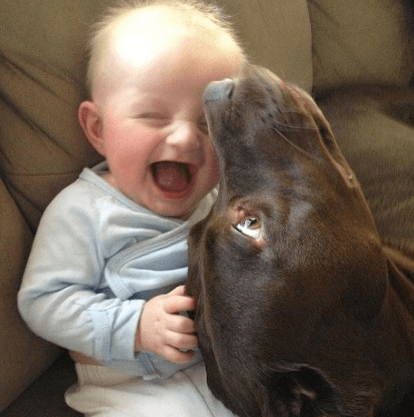 Доказательства, что собака — лучший друг малышей